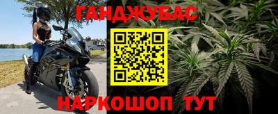 ECSTASY Будённовск