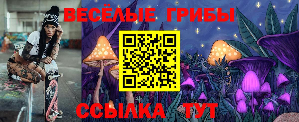 Галлюциногенные грибы Psilocybine cubensis  Вход с VPN  Галлюциногенные грибы GOLDEN TEACHER  Сатка 